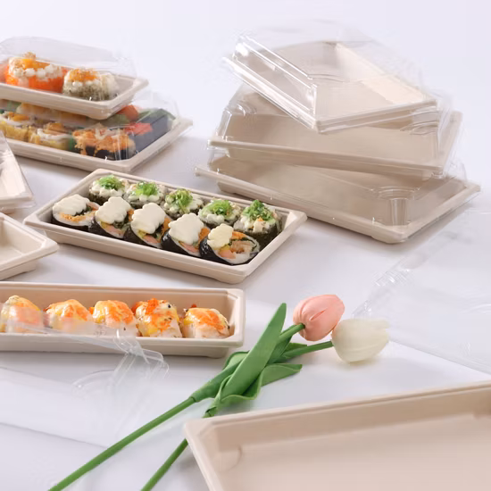 Plastique de plateau de sushi de pulpe de canne à sucre de catégorie comestible